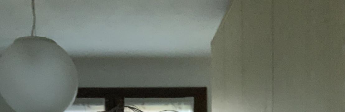 Angelofharlem 
