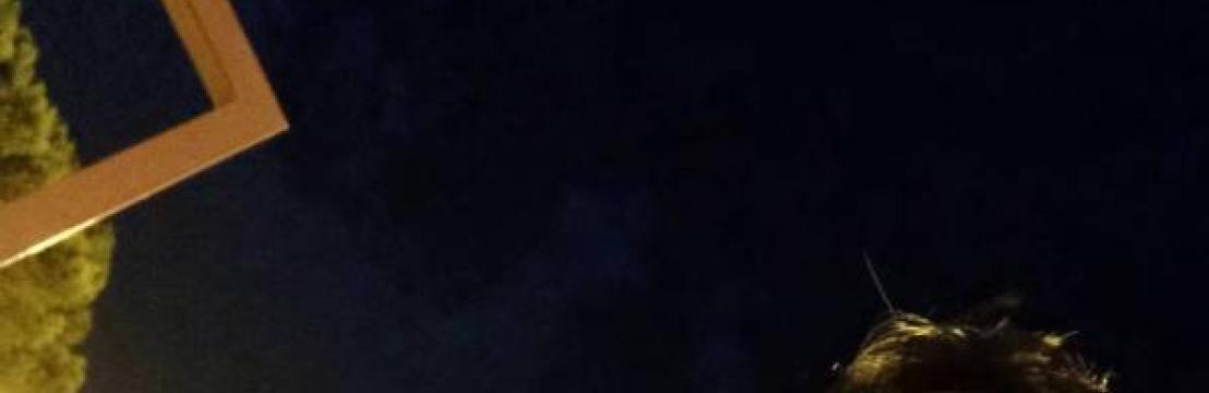 Sasa 